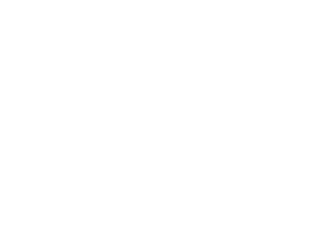 Pets Paradise